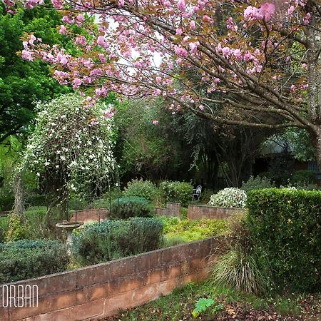 Birches Cottage & The Willows Garden Room Underberg Exteriör bild
