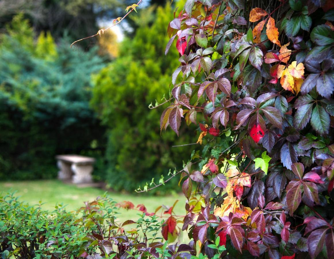 Birches Cottage & The Willows Garden Room Underberg Exteriör bild