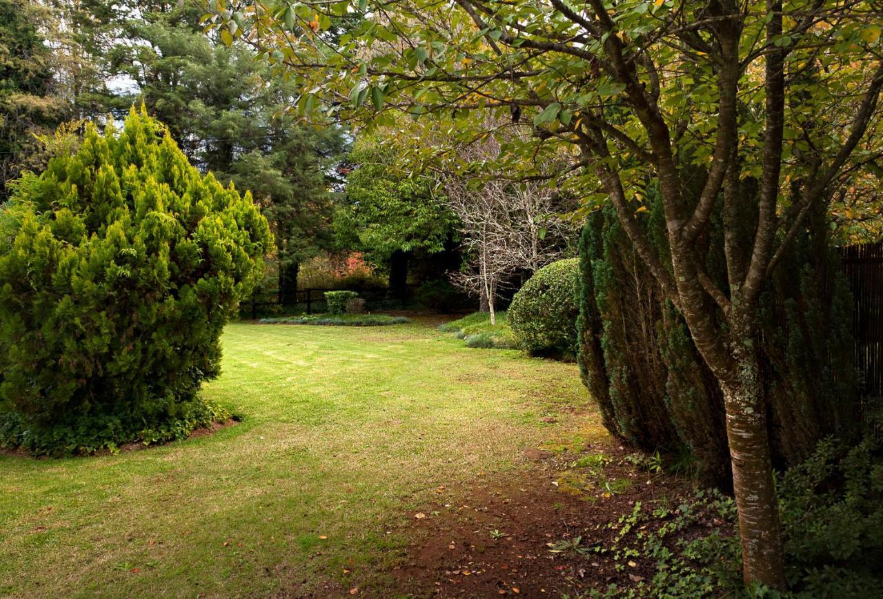 Birches Cottage & The Willows Garden Room Underberg Exteriör bild