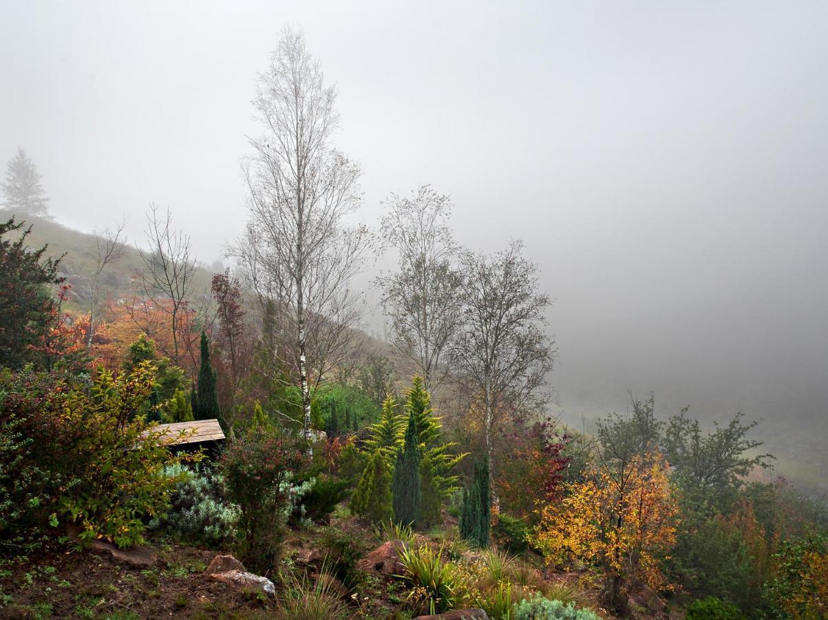 Birches Cottage & The Willows Garden Room Underberg Exteriör bild