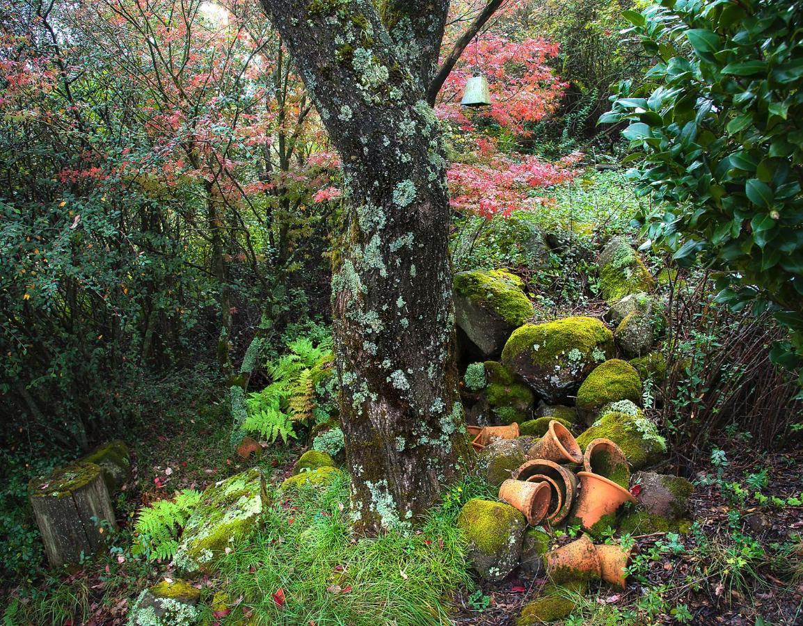 Birches Cottage & The Willows Garden Room Underberg Exteriör bild