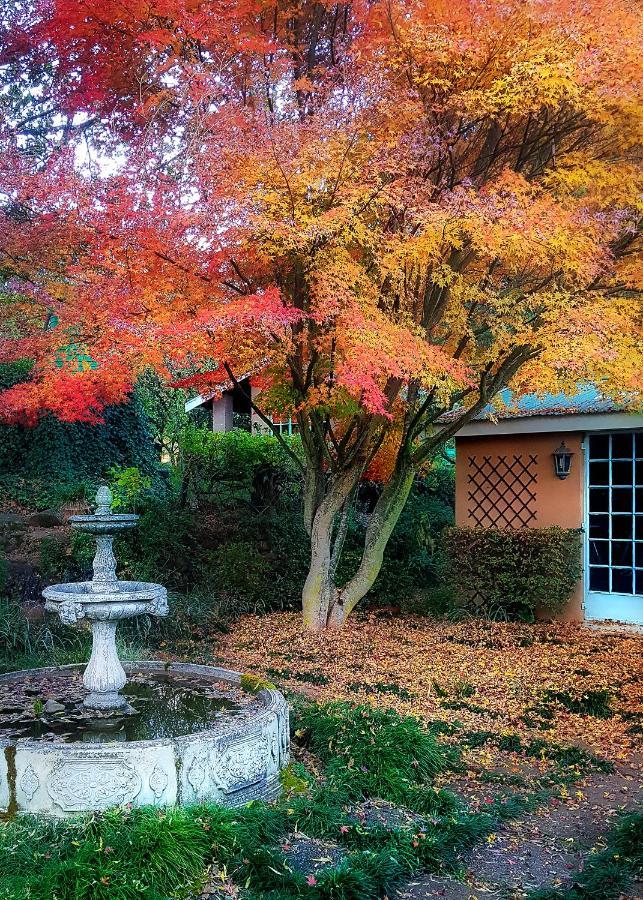 Birches Cottage & The Willows Garden Room Underberg Exteriör bild