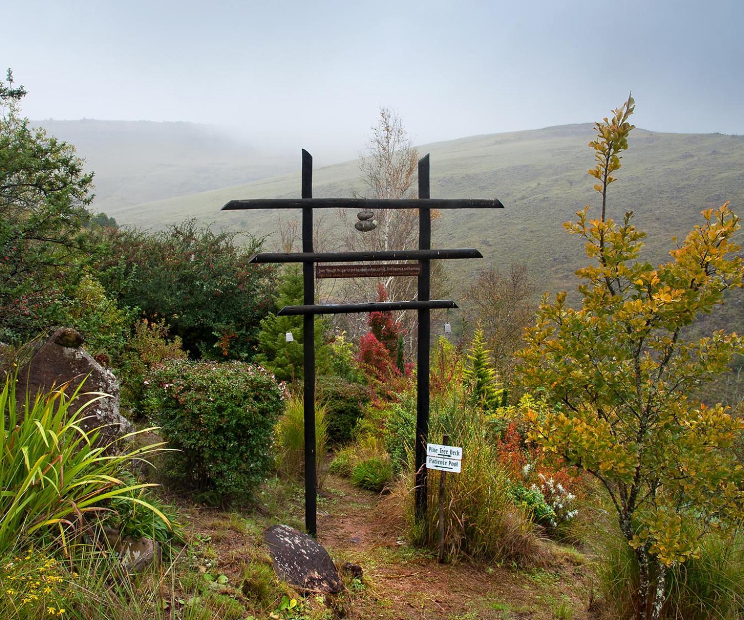 Birches Cottage & The Willows Garden Room Underberg Exteriör bild