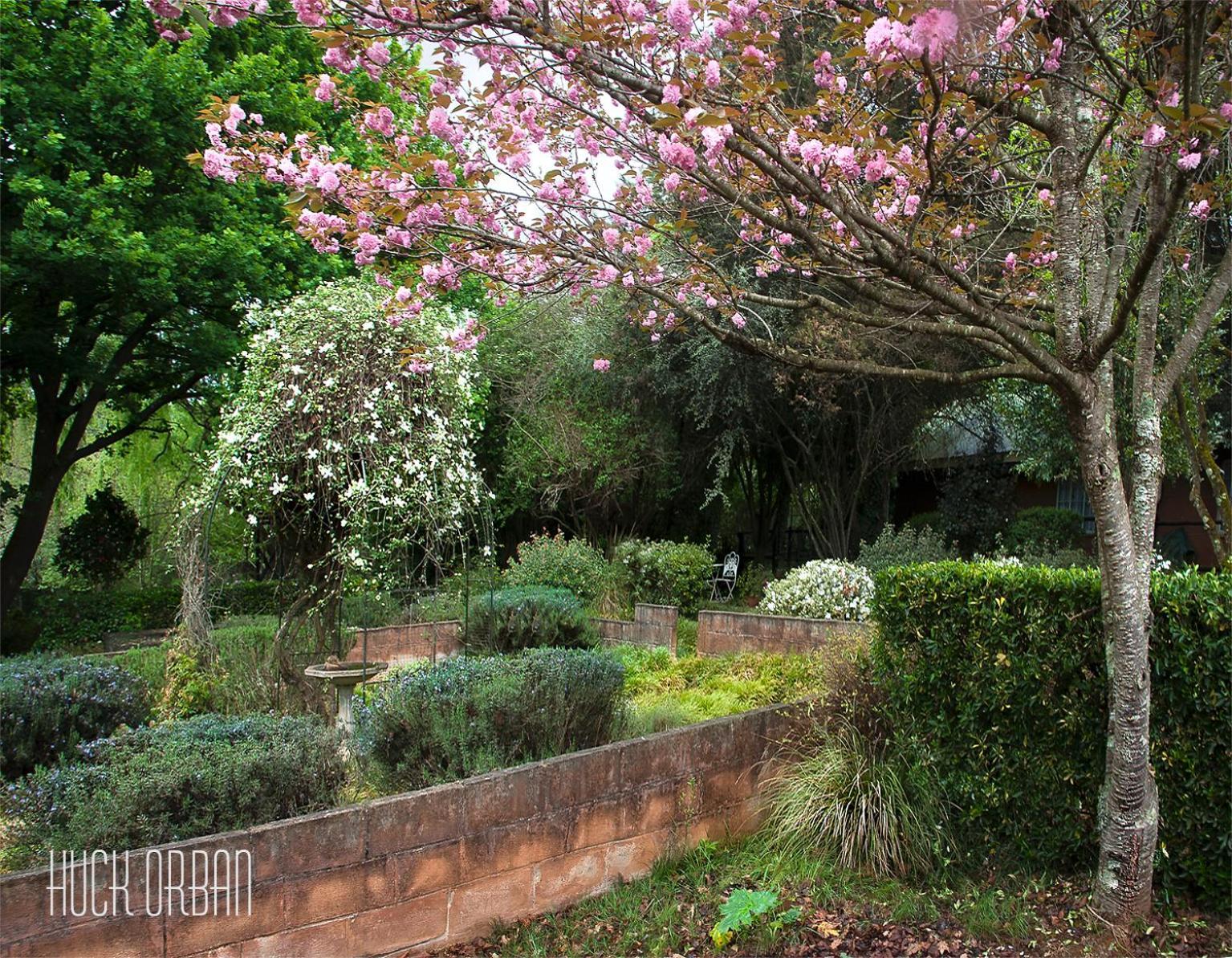 Birches Cottage & The Willows Garden Room Underberg Exteriör bild