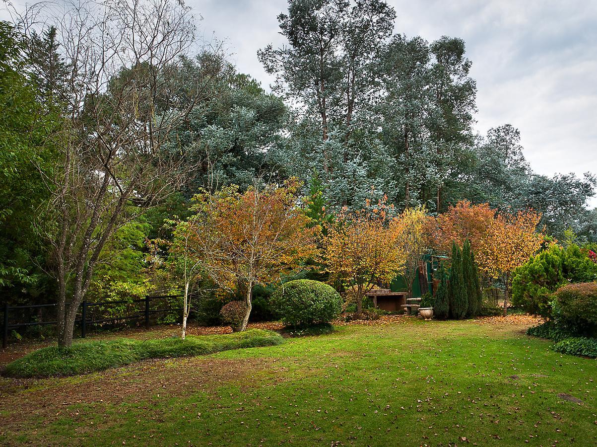 Birches Cottage & The Willows Garden Room Underberg Exteriör bild