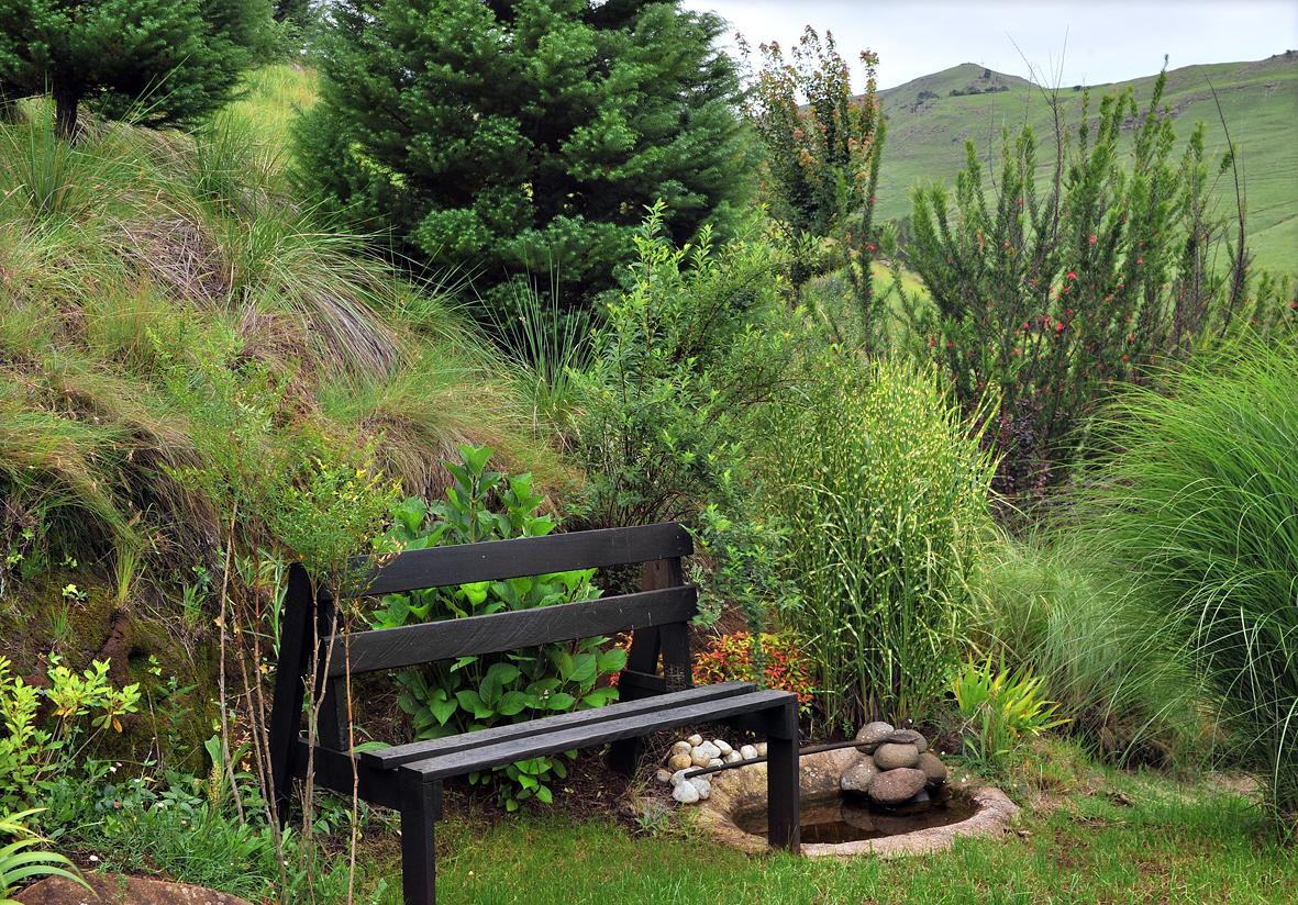 Birches Cottage & The Willows Garden Room Underberg Exteriör bild