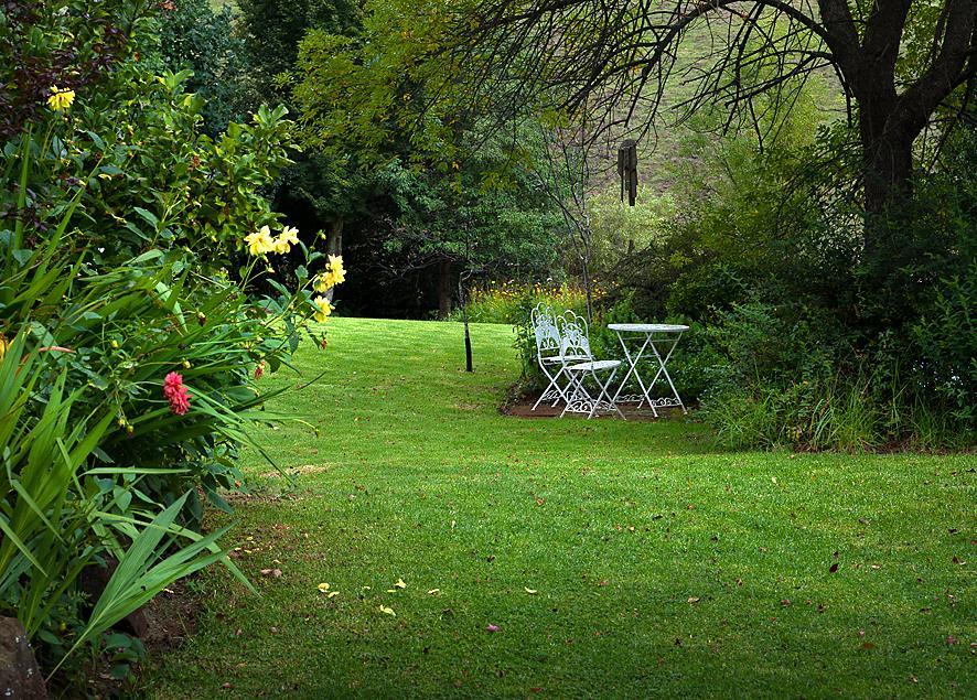 Birches Cottage & The Willows Garden Room Underberg Exteriör bild