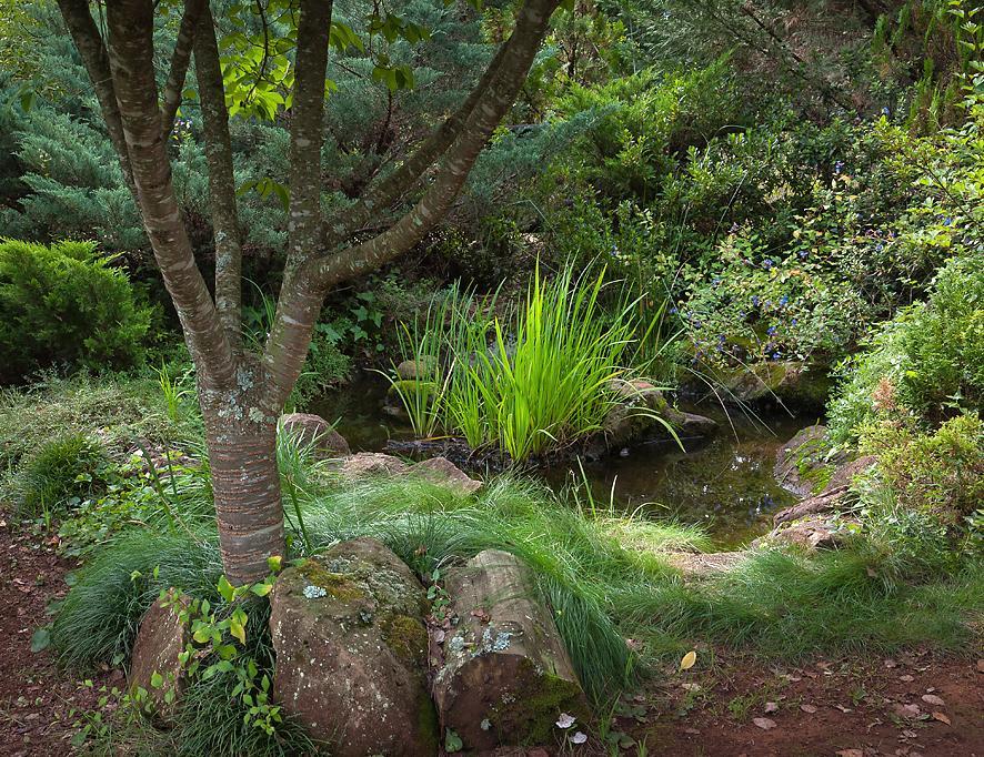 Birches Cottage & The Willows Garden Room Underberg Exteriör bild