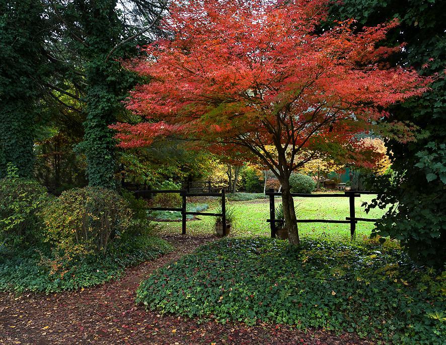 Birches Cottage & The Willows Garden Room Underberg Exteriör bild